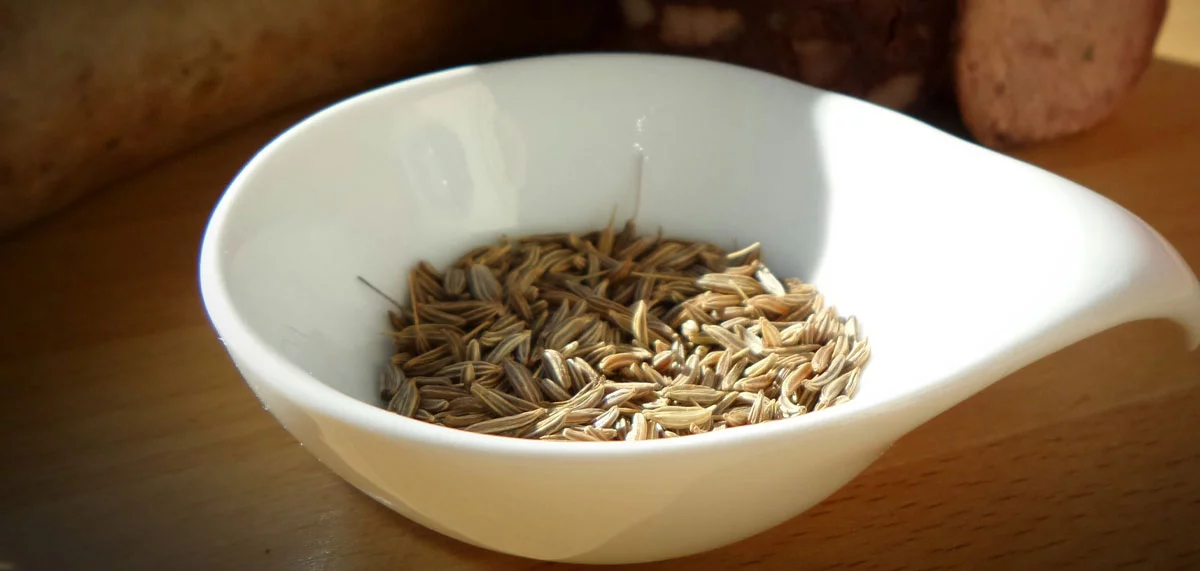 Semi di Carvi: come usarli in cucina e 7 ricette facili da realizzare